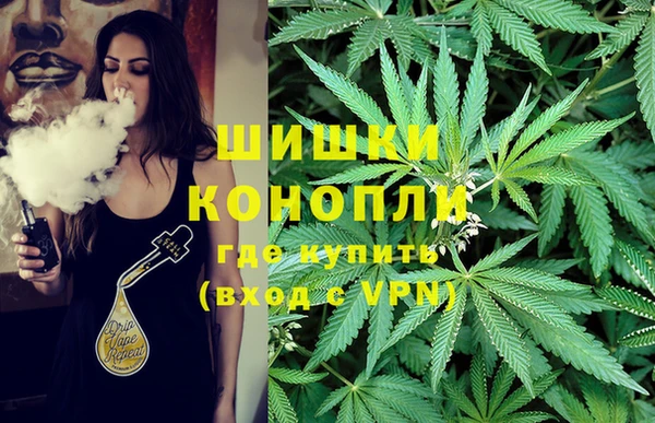 трава Сатка