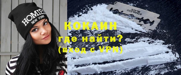 трава Сатка