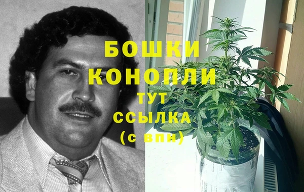 твердый Ростов