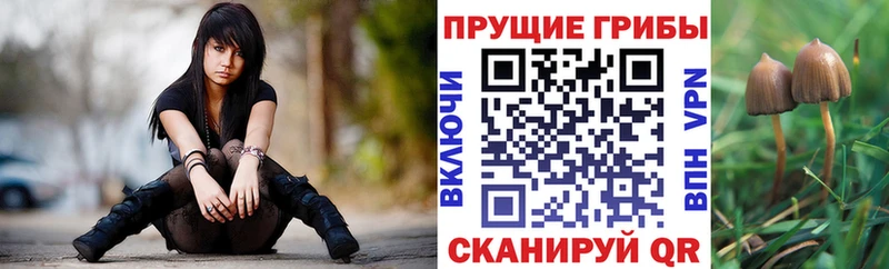 Псилоцибиновые грибы прущие грибы  Купить закладки  Ивантеевка 